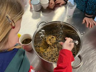 Vetbollen. Vogeltjes!