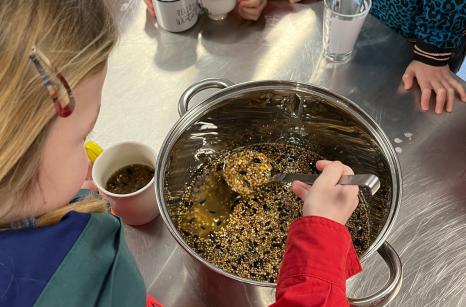 Vetbollen. Vogeltjes!